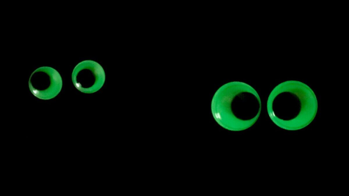 glow in the dark oogjes